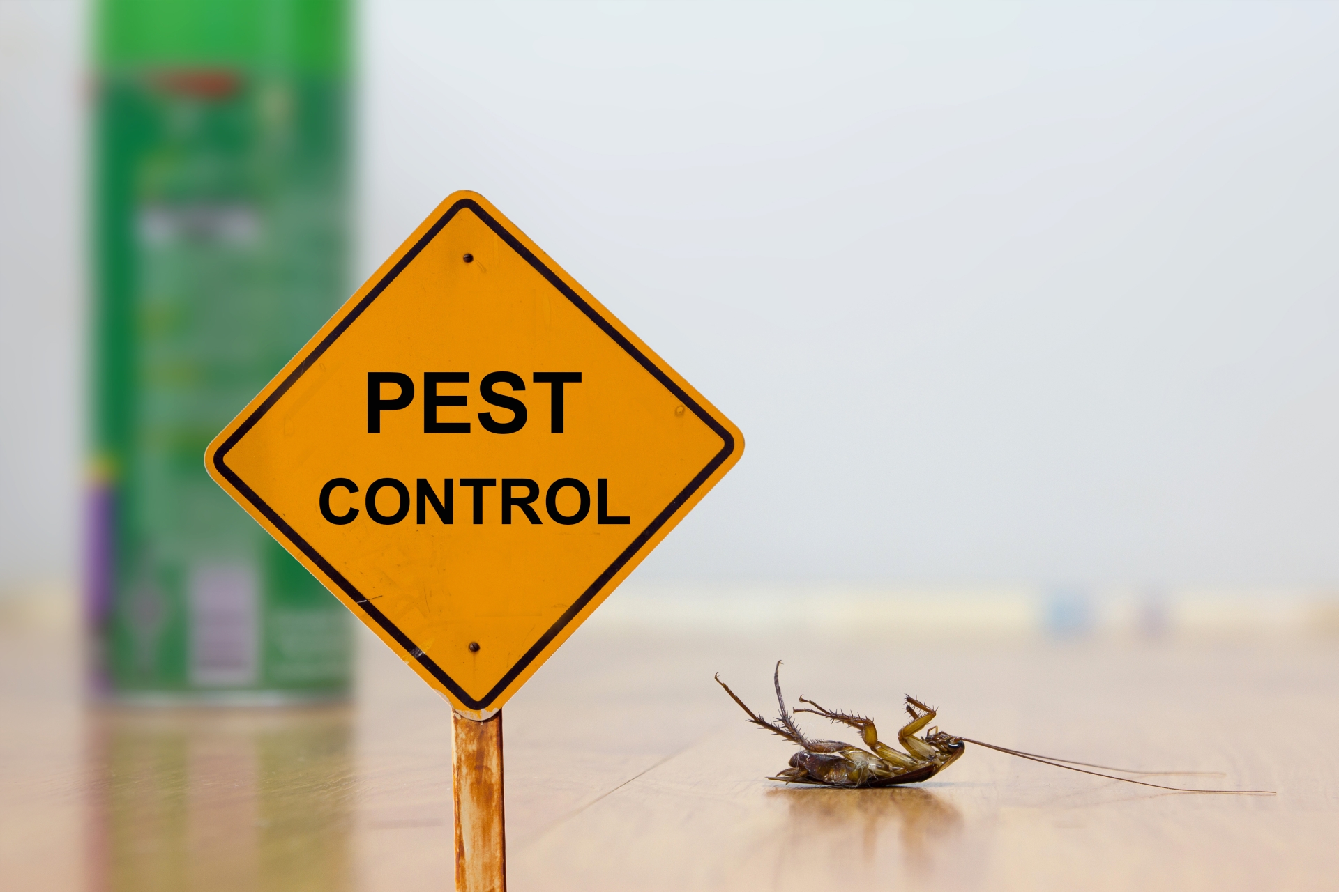 24 Hour Pest Control, Pest Control in Hillingdon, Ickenham, UB10. Call Now 020 8166 9746